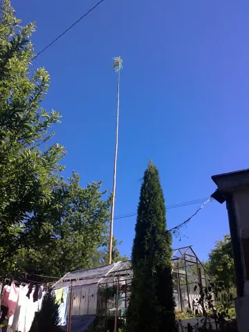 26052011323