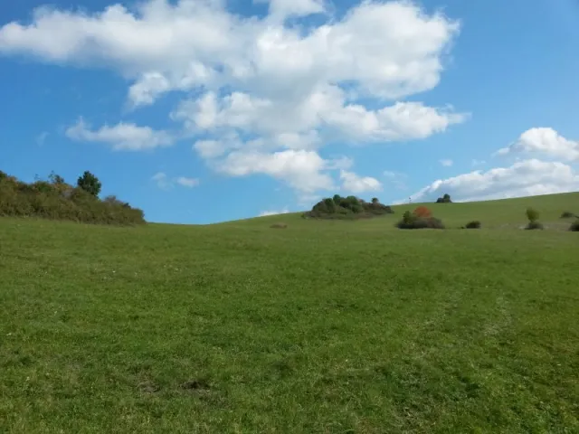 20141011_112835-1450738489