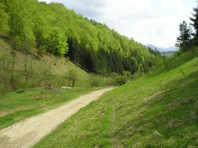 vapenica