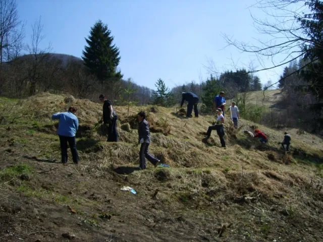 Minerálny prameň Vajcovka