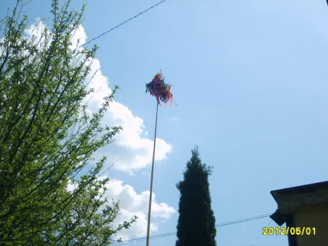 s5009137