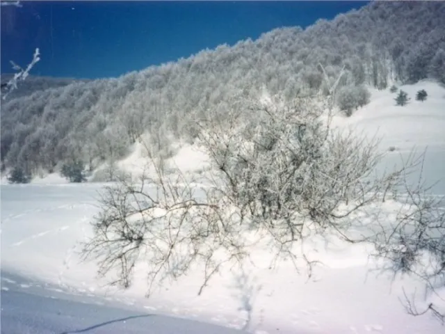 zima-2-1450736068