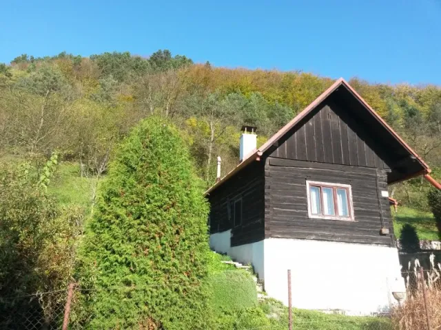 20141019_100844